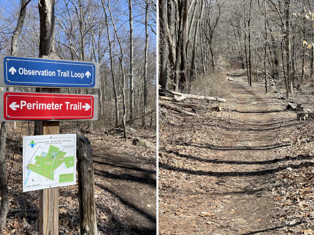 trails in March at Caratunk Wildlife Refuge in eastern Massachusetts