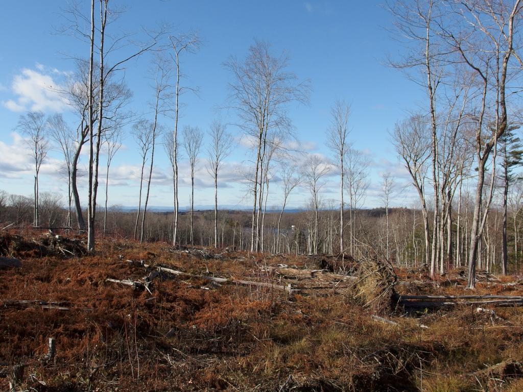 view west in November from Carter Forest near Dublin in southern NH