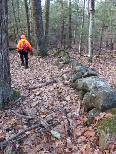 stone wall at Carter Forest near Dublin in southern NH