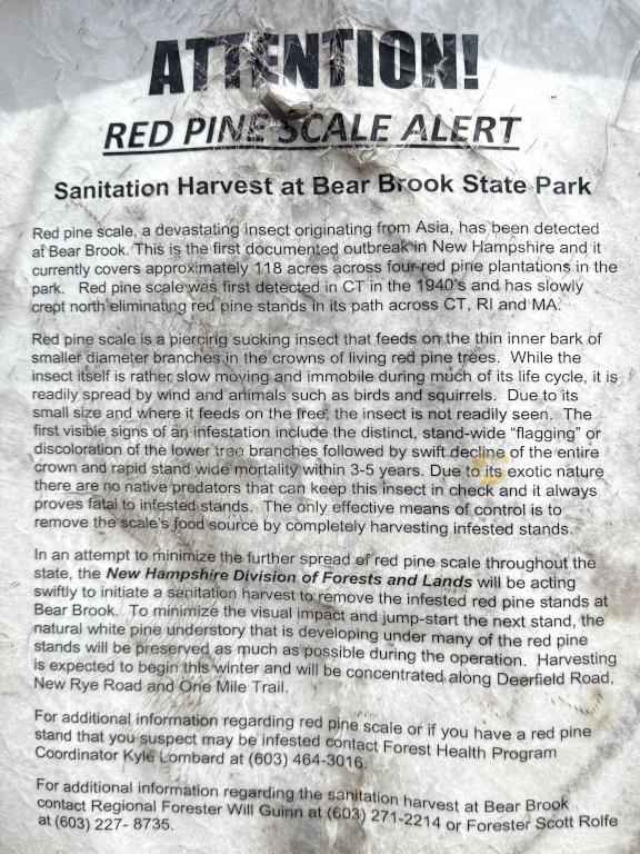 insect alert sign in April at Cascade Trail in southern NH