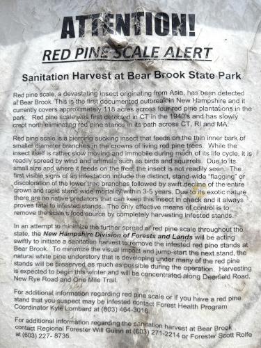 Insect alert sign in April at Cascade Trail in southern NH