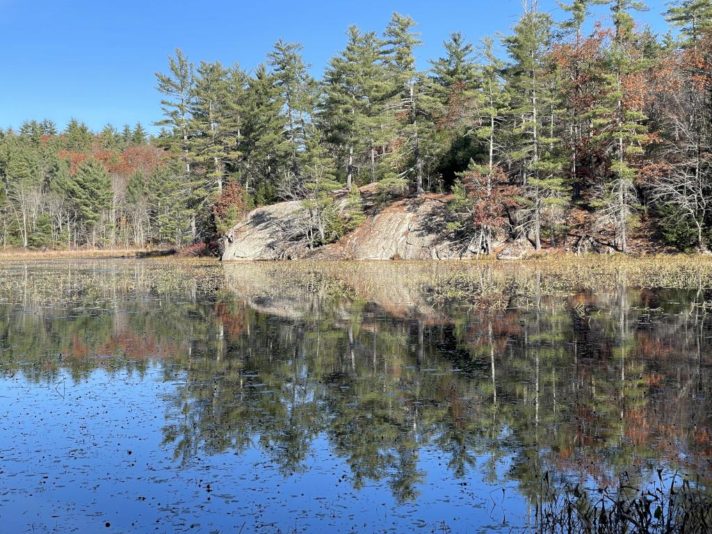 beaver pond in October at Lillian Cassier Memorial Forest in southern NH