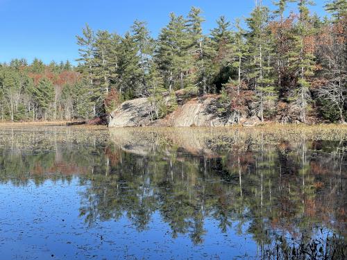 beaver pond in October at Lillian Cassier Memorial Forest in southern NH