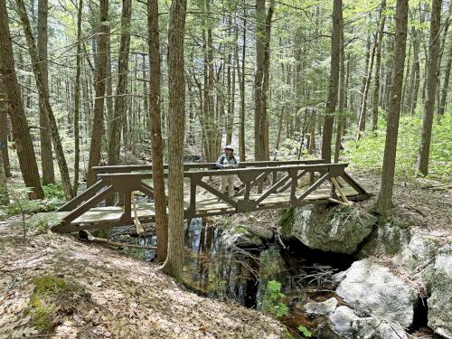 footbridge in May at Castor Pond in southern NH