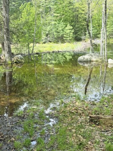 flood in May at Castor Pond in southern NH