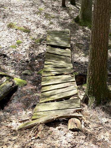 footbridge in May at Castor Pond in southern NH