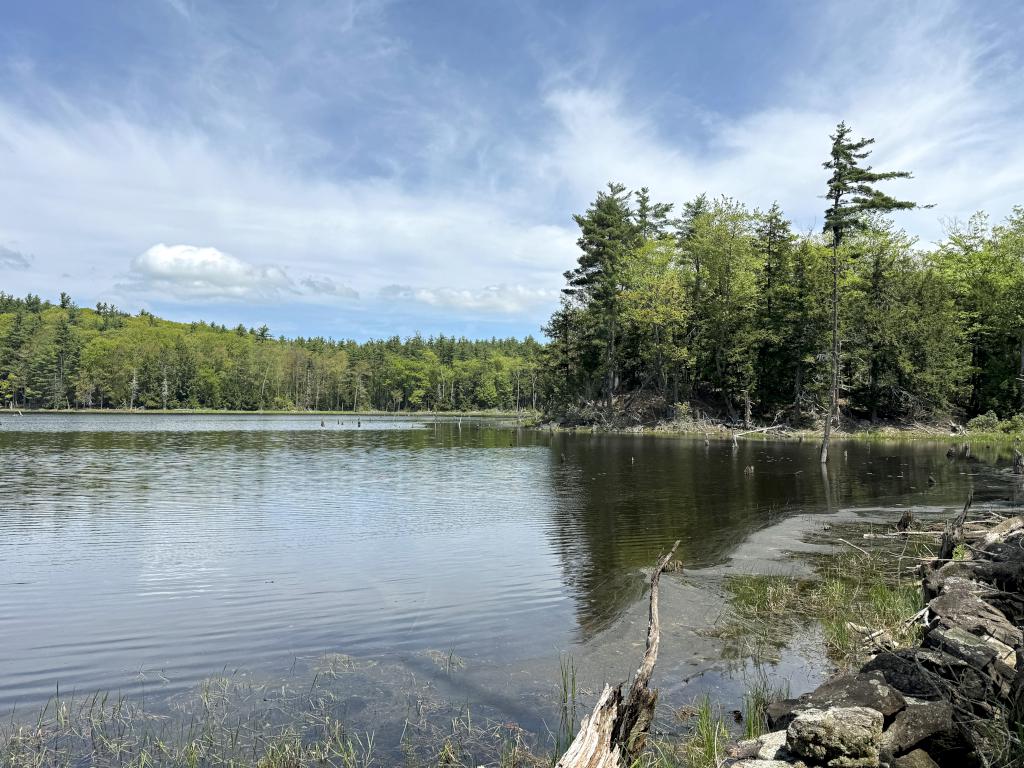 pond view in May at Castor Pond in southern NH