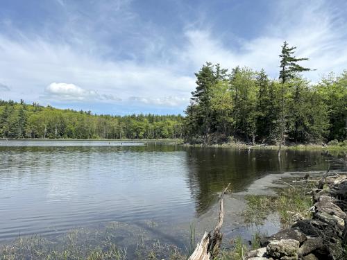 pond view in May at Castor Pond in southern NH