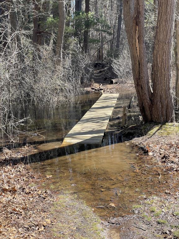 flooded boardwalk in March at Cedar Pond Wildlife Sanctuary in northeast MA