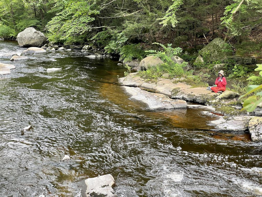 meditating in August beside the Quinepoxet River near the Mass Central Rail Trail at Holden in eastern Massachusetts