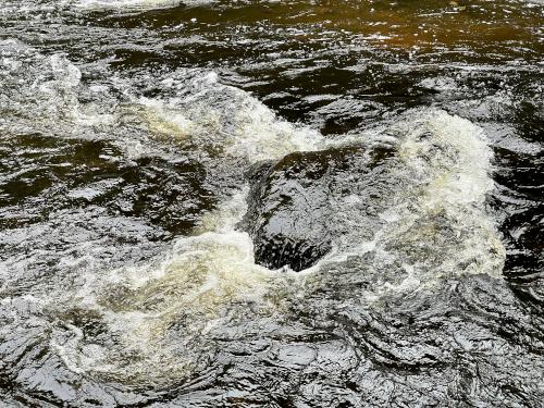 Quinepoxet River in August at Mass Central Rail Trail at Holden in eastern Massachusetts