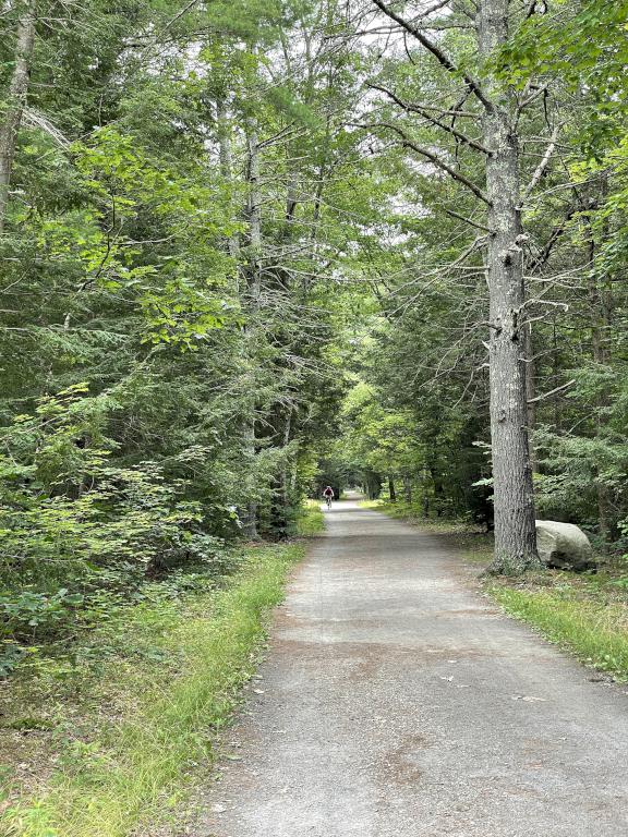 Mass Central Rail Trail in August at Holden in eastern Massachusetts