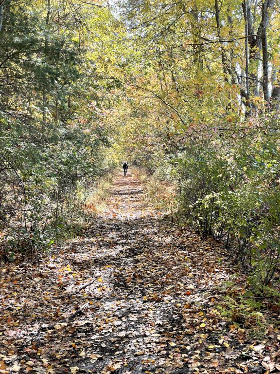 trail end in October of the Upper Charles Rail Trail near Milford in eastern Massachusetts