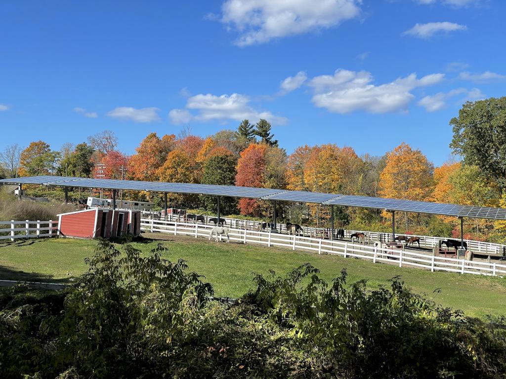 horse farm in October beside the Upper Charles Rail Trail near Milford in eastern Massachusetts