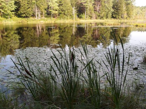 pond at Chase Wildlife Sanctuary near Hopkinton in southern New Hampshire