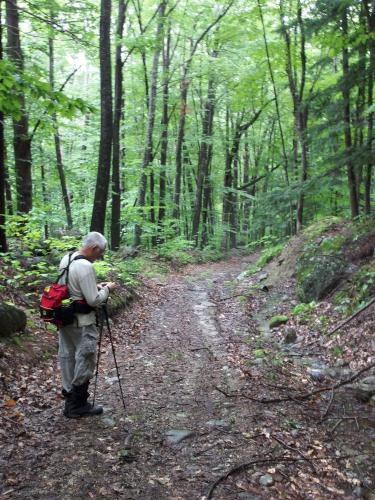 Dick checks navigation on Farley Road at Chute Forest near Hillsboro in southern New Hampshire