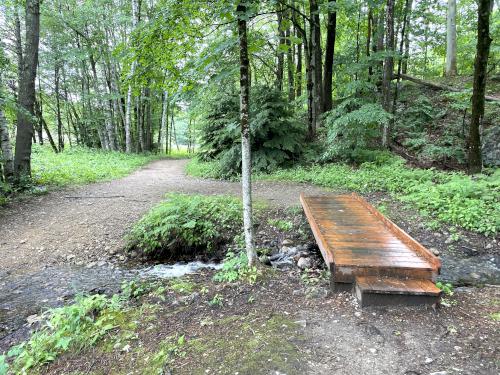 foot bridge in June at Clyde Pond Trails near Windham in southern NH