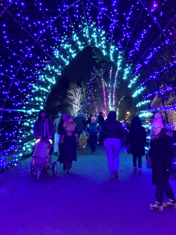 light tunnel in November at Coastal Maine Botanical Gardens in eastern ME