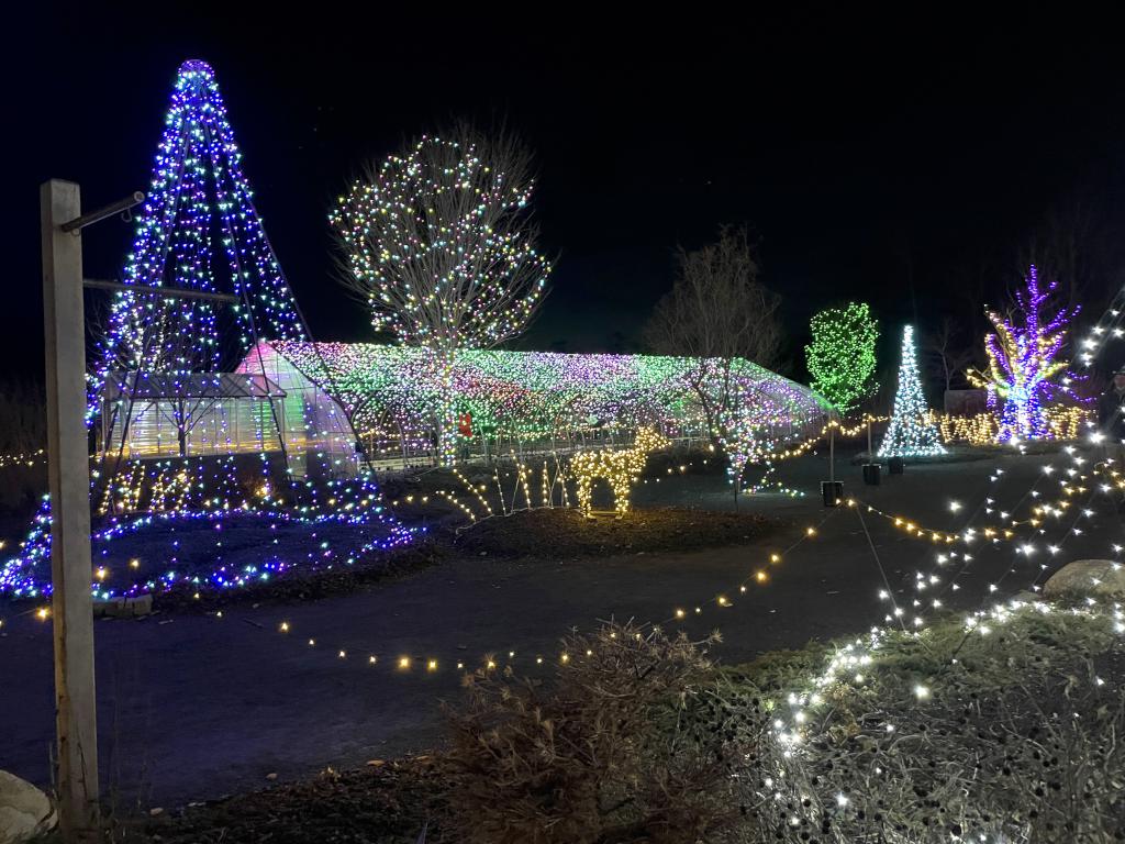 Gardens Aglow in November at Coastal Maine Botanical Gardens in eastern ME