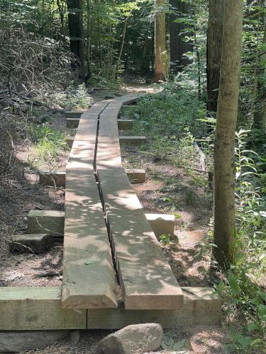 trail in June at Cobble Hill in southwest MA