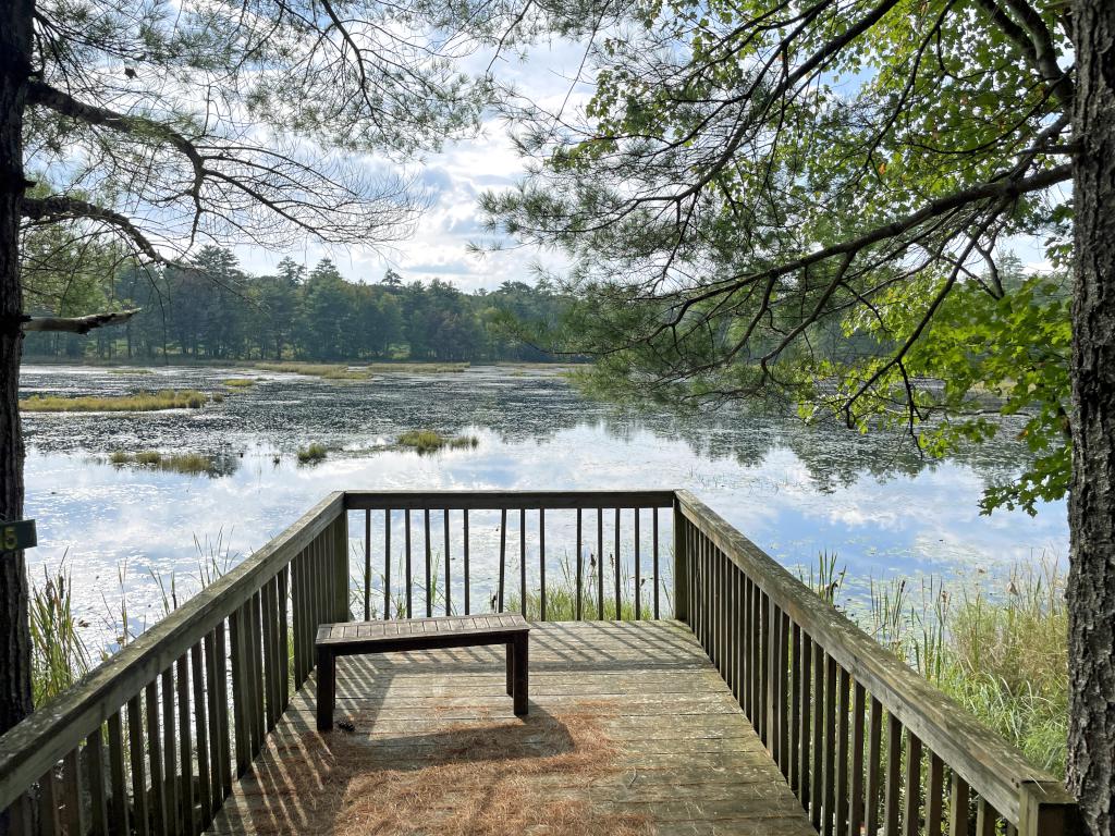 pond in September near Cogswell Mountain in New Hampshire