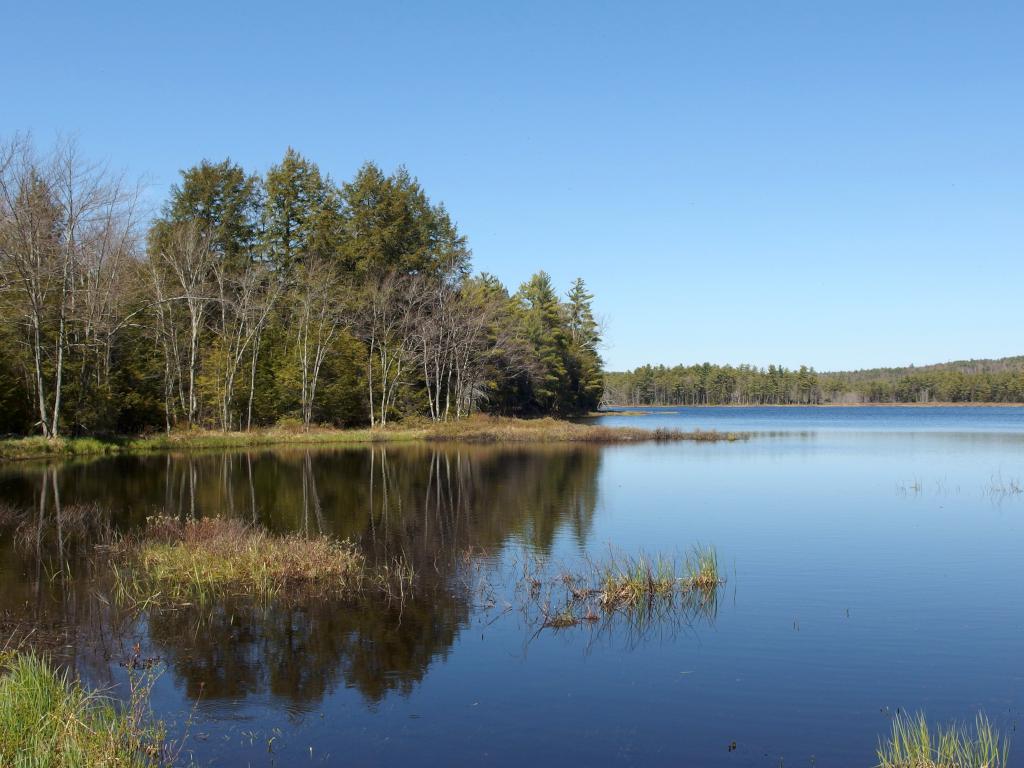 Converse Meadow Pond in May near Rindge in southern New Hampshire