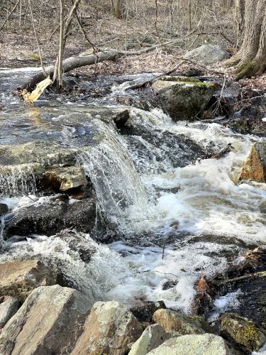 Still Corner Brook in April at Cormier Woods in eastern Massachusetts