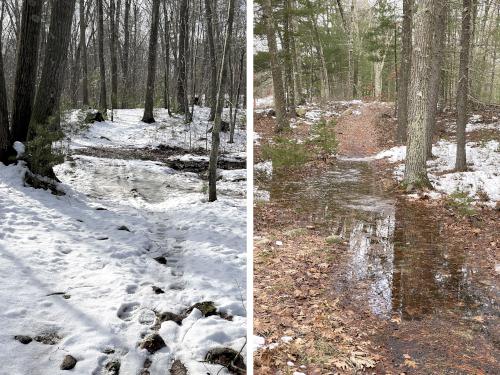 trail at Costa Conservation Area in southeast NH