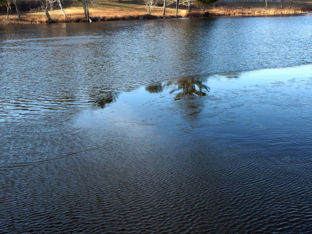 a sliver of ice in November on Crescent Lake beside Cotton Valley Rail Trail near Wolfeboro in New Hampshire