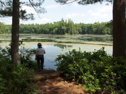 view of Crystal Lake at Crystal Conservation Areas in northeastern Massachusetts