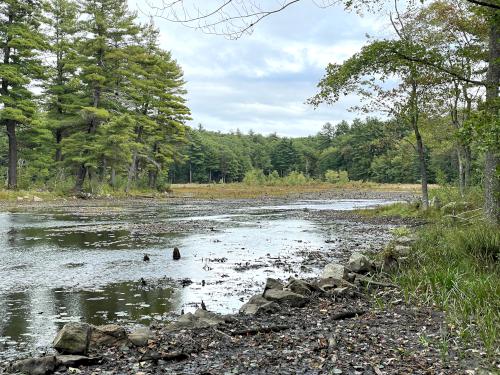 marsh in September at Cutler-Spalding Conservation Area in southern NH