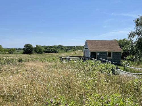 visitor cabin in June at Daniel Webster Wildlife Sanctuary in eastern Massachusetts