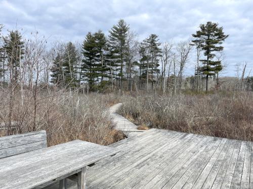 observation platform in February at Danvers Swamp Walk in northeast MA