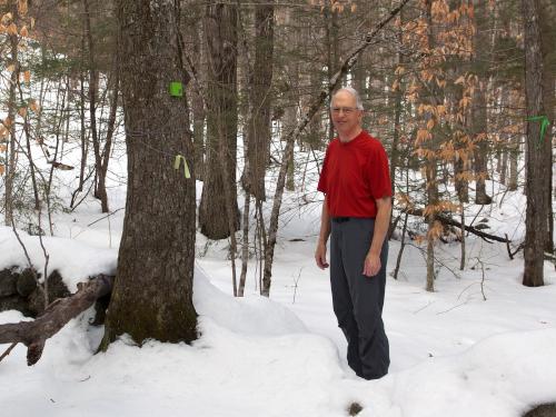 Fred in February at Darby Brook Conservation Area in New Hampshire