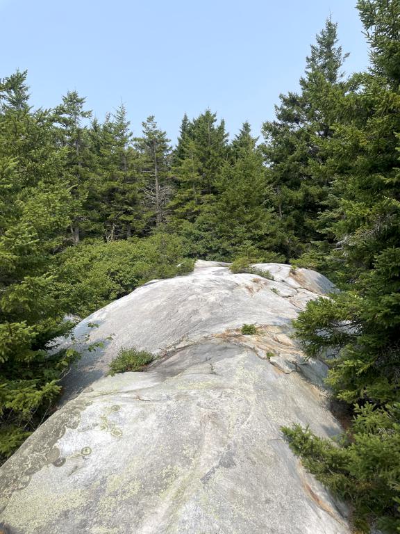 The Dome in August at The Dome in southwest VT