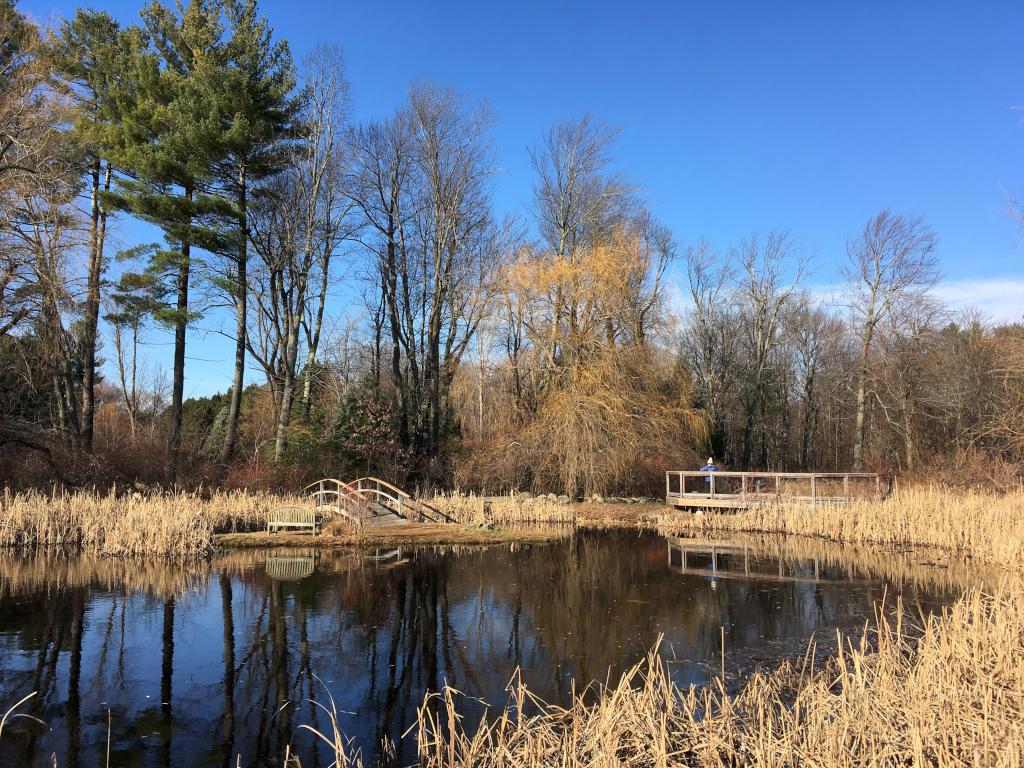 pond and viewing platform in November at Doyle Park near Leominster, Massachusetts