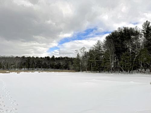 pond in February at Lowell-Dracut-Tyngsboro State Forest in eastern Massachusetts