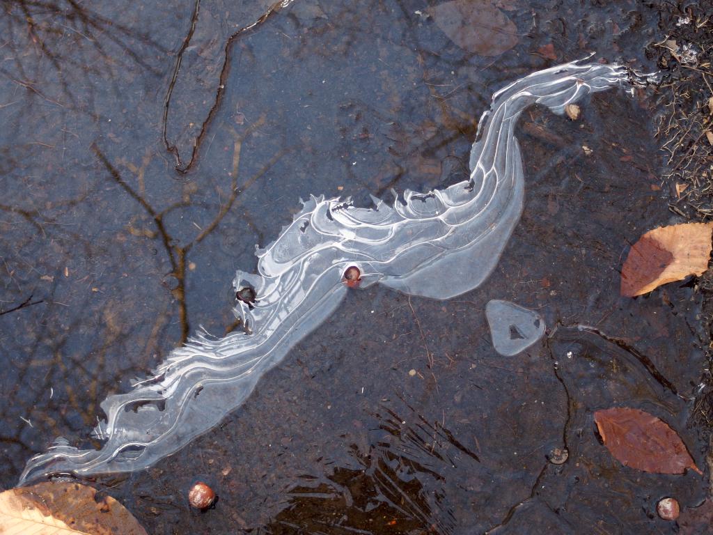 Ice-art #3 in December at Drummer Hill Conservation Area at Keene in southwest New Hampshire