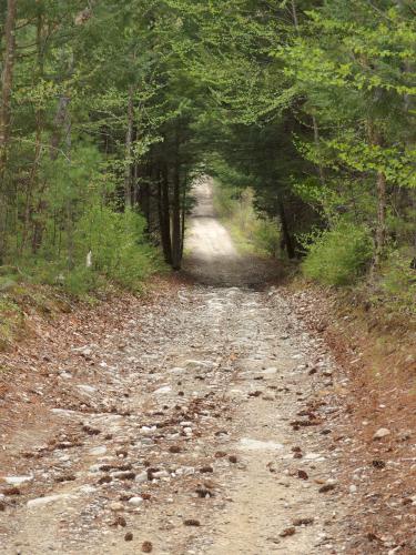 Dubes Pond Trail in May near Hooksett in southern New Hampshire