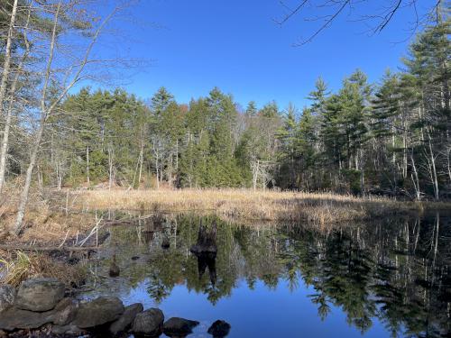 pond in November at Eagle Trail in southern NH