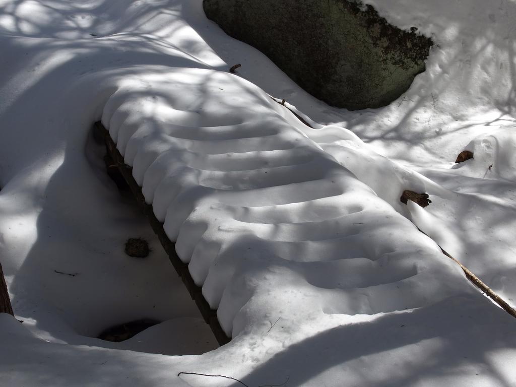 footbridge in March at East Side Trails near the Harris Center in southern New Hampshire