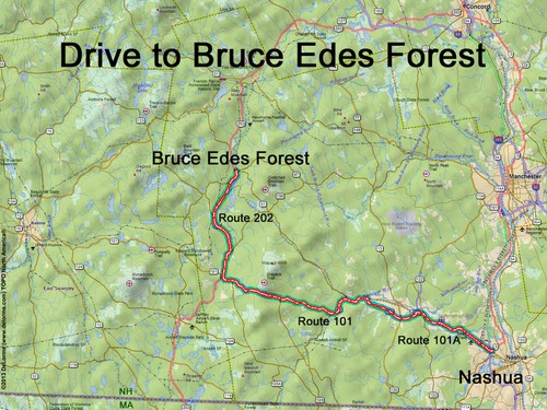 Bruce Edes Forest drive route