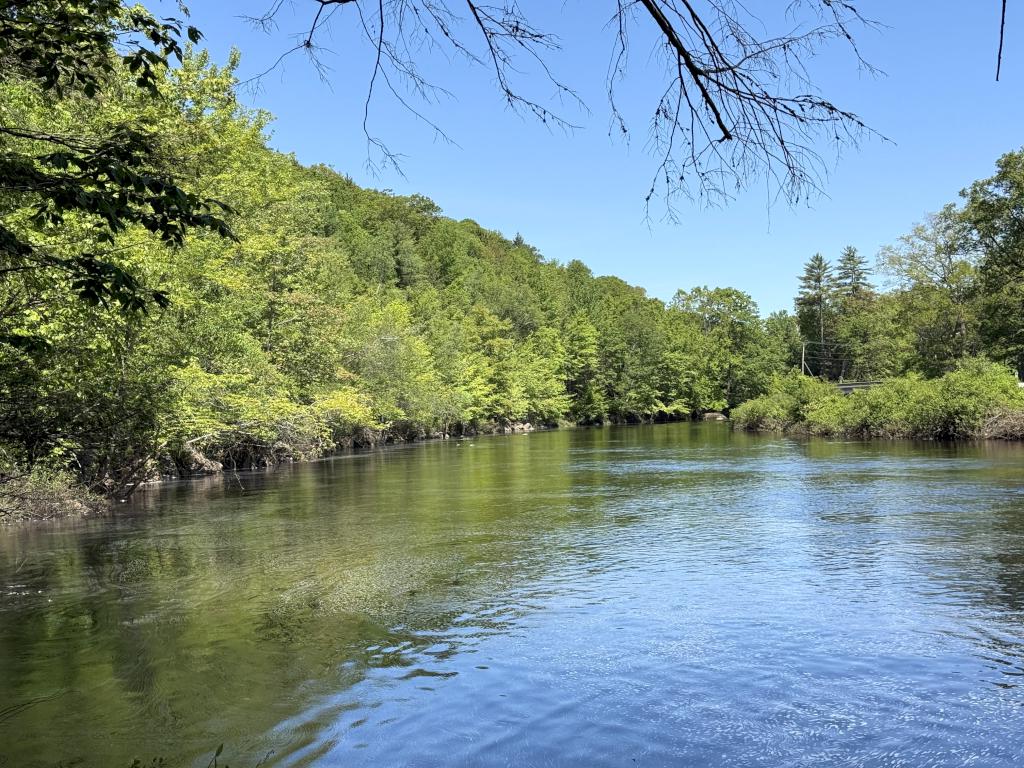 Contoocook River in June at Bruce Edes Forest in southern NH