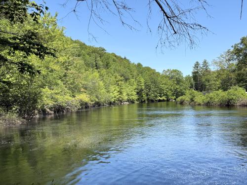Contoocook River in June at Bruce Edes Forest in southern NH