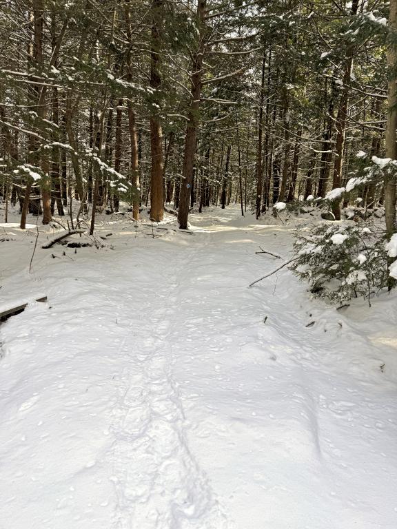 trail in January at Evans Flats Trail near Peterborough in southern NH