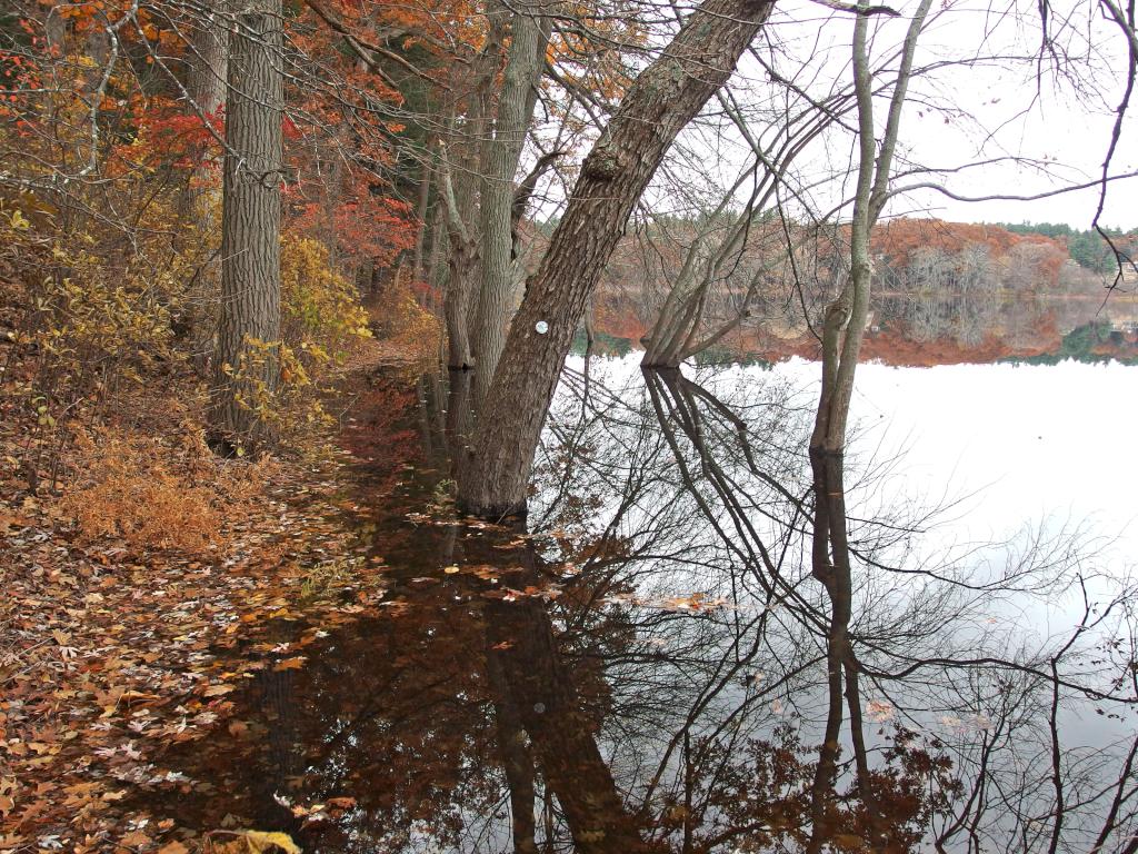 flooded trail in November along Fairhaven Bay at Fairhaven Hill Trails in eastern Massachusetts