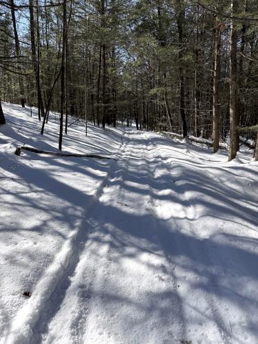 snowmobile trail in February at Flint Hill Recreation Area in southern NH