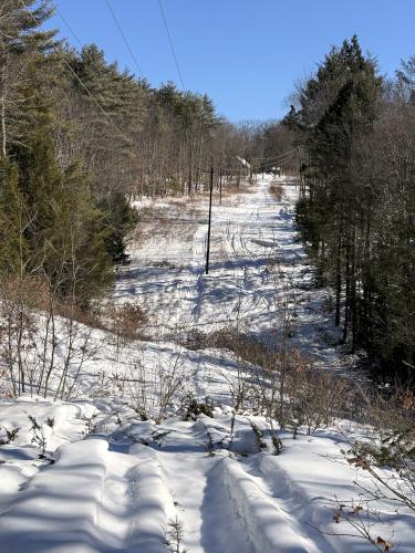 powerline swath in February at Flint Hill Recreation Area in southern NH