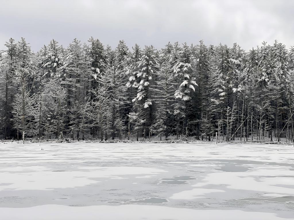 view across Cole Marsh in January at Francis Cormier Trail in southern NH