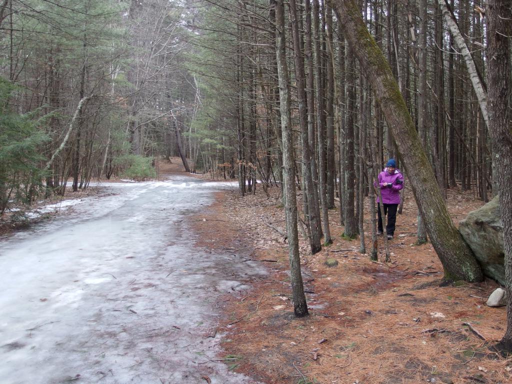 Andee in February beside the trail to Gardner Hill at Gardner Hill Conservation Area in Stow, MA